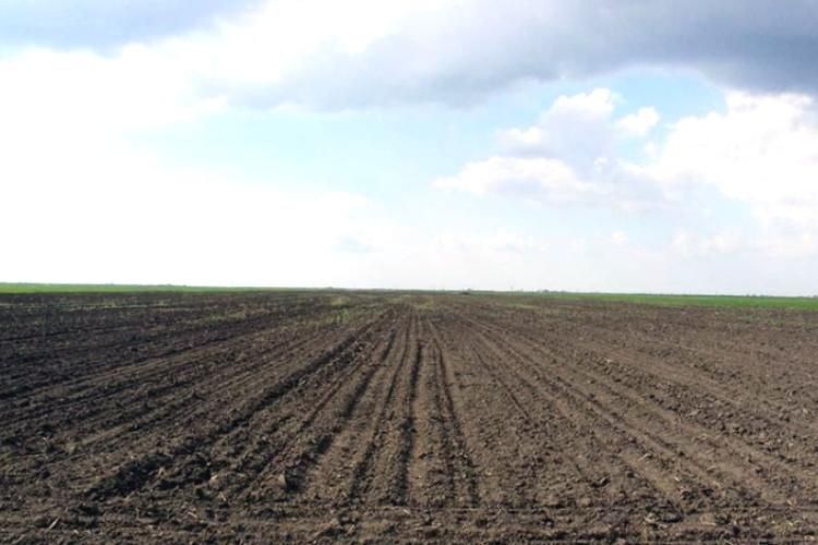 Vand 1 hectar teren comuna Predesti, jud. Dolj, 17 km distanta de Craiova