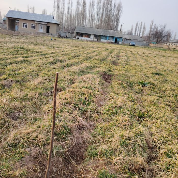 Тошкент вилояти, Бўка туманида 33 сотихли ер майдони сотилади.