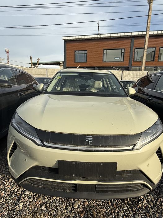 BYD Yuan Up Full mintol