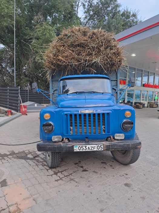 Дайын камыс.         Дайын қамыс.