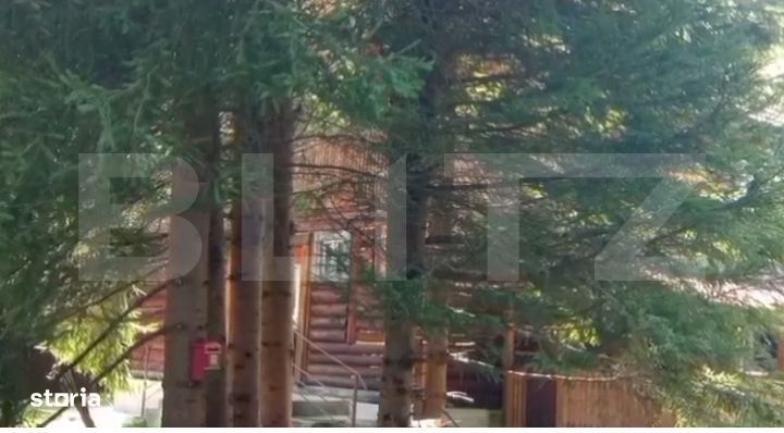 Cabana cu parau si brazi maturi, 1400mp, Valea Fericirii