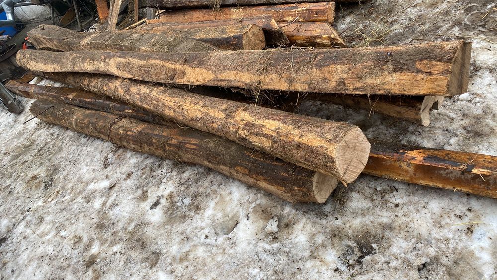 Grinzi de stejar de vânzare