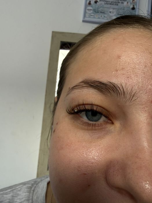 Caut model gene in Varlaam