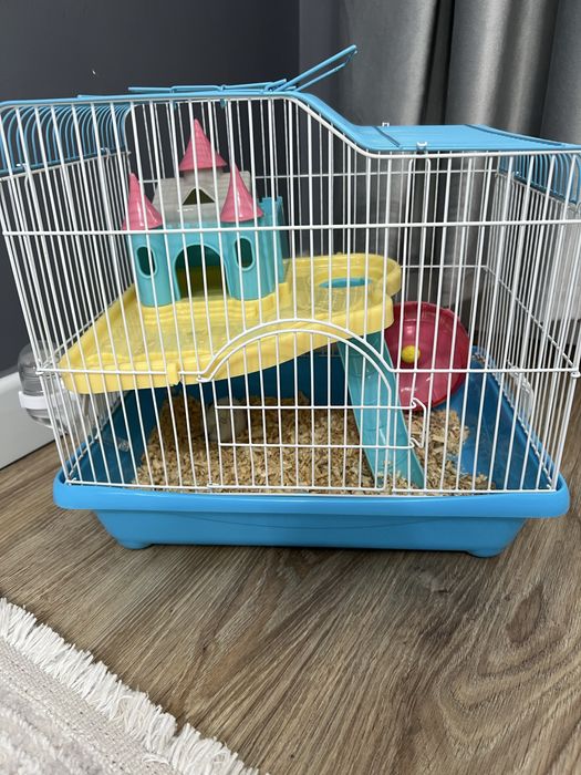 Отдам хомяк беспалтно с домиком