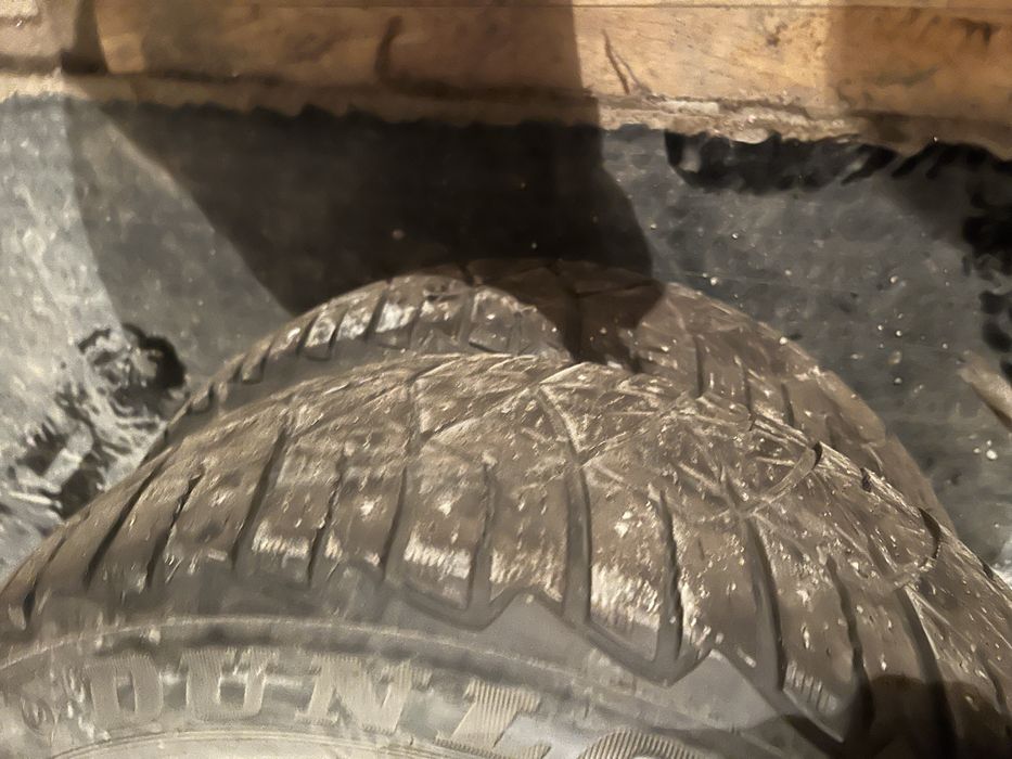 Продам ризину зима на 15