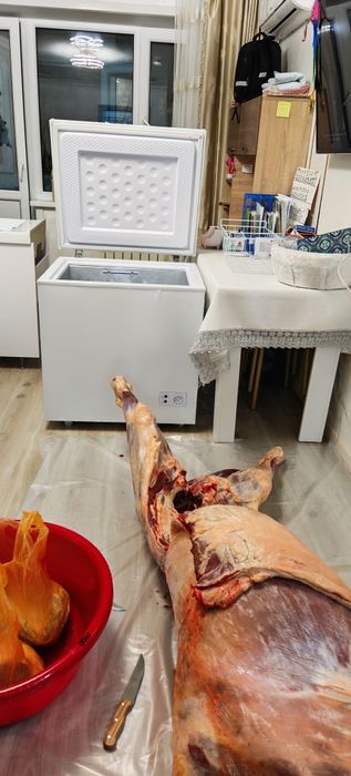 Морозильник, Срочно продается 75000т