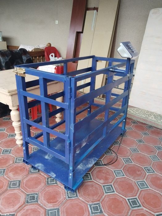 Mol tarozi sotiladi