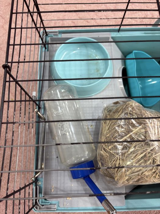 Продам клетку для грузинов