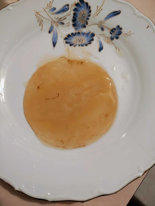 Ciuperca kefir de apa de lapte ciuperca tibetana Kombucha Scooby