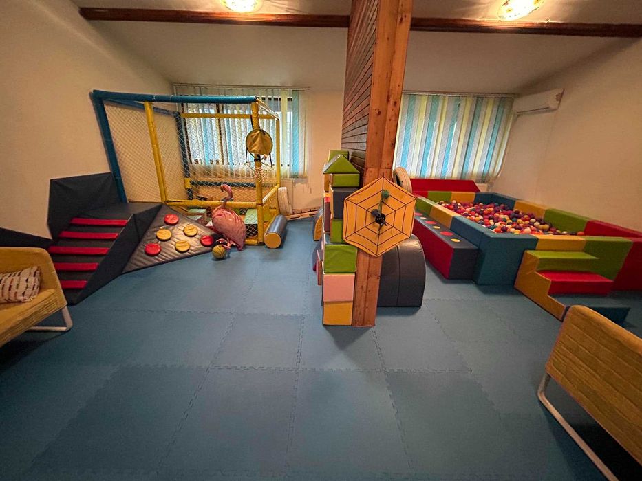 Petrecere copii loc de joaca aniversare 690 lei | Tralaland