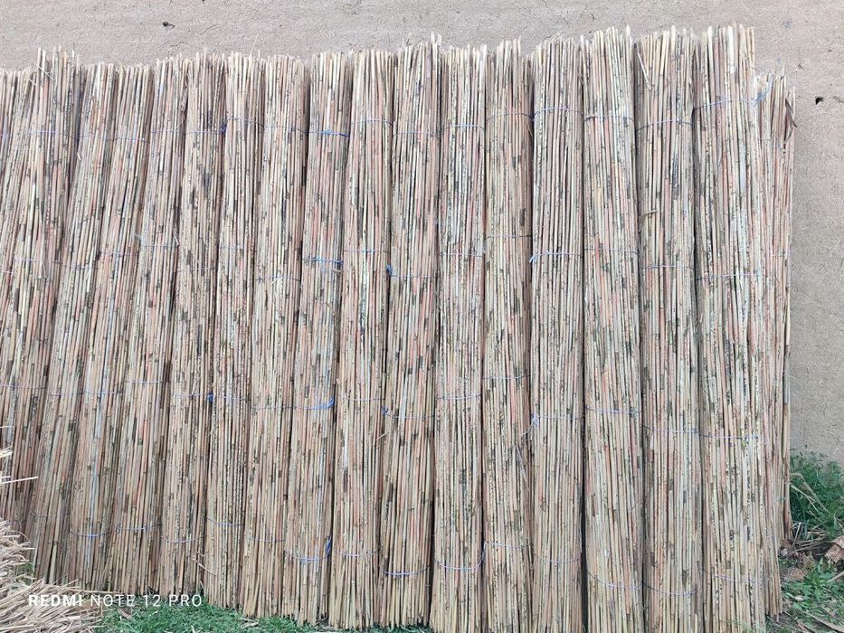 Qamish chiy boyra maxsuloti