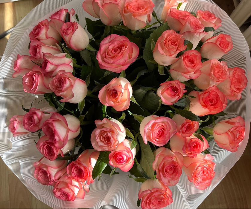 Розовые розы 35шт