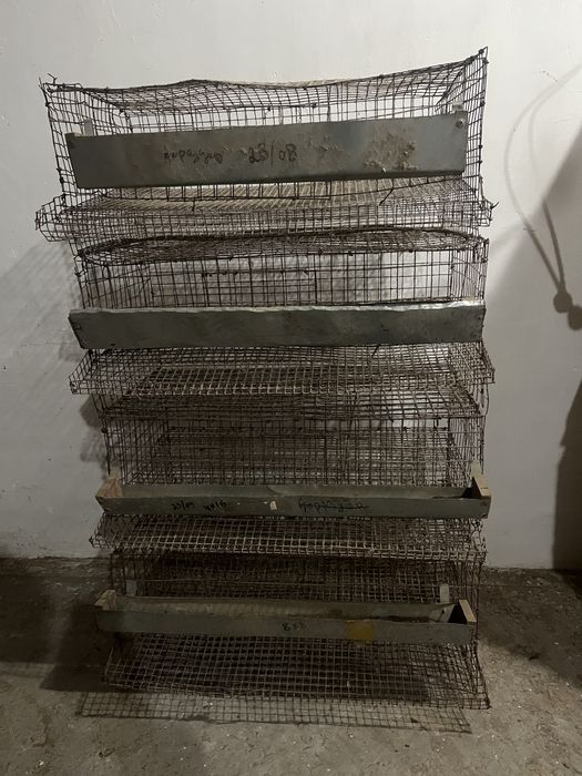 Брудер сатылады сеткалар бар