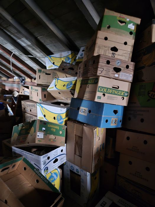 Vand cutii de banane