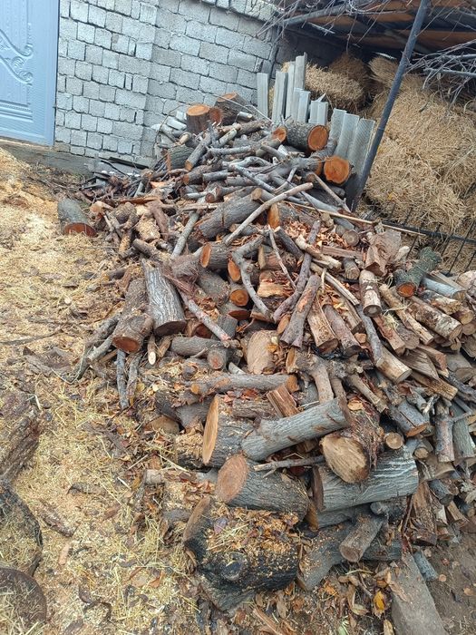 otin otin sotiladi mevali