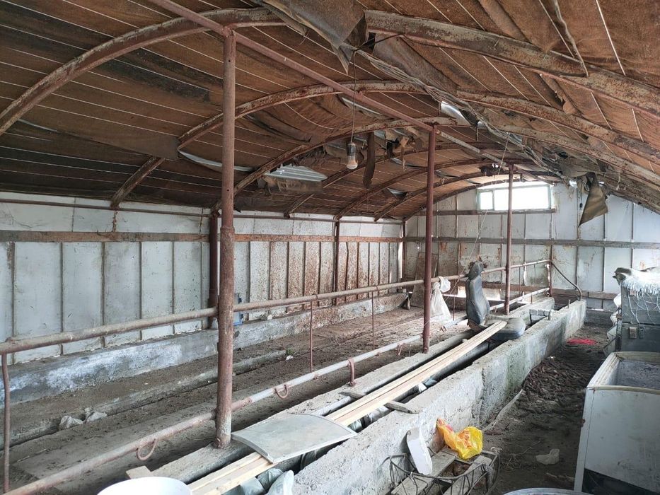 Магазин, дом , фазенда