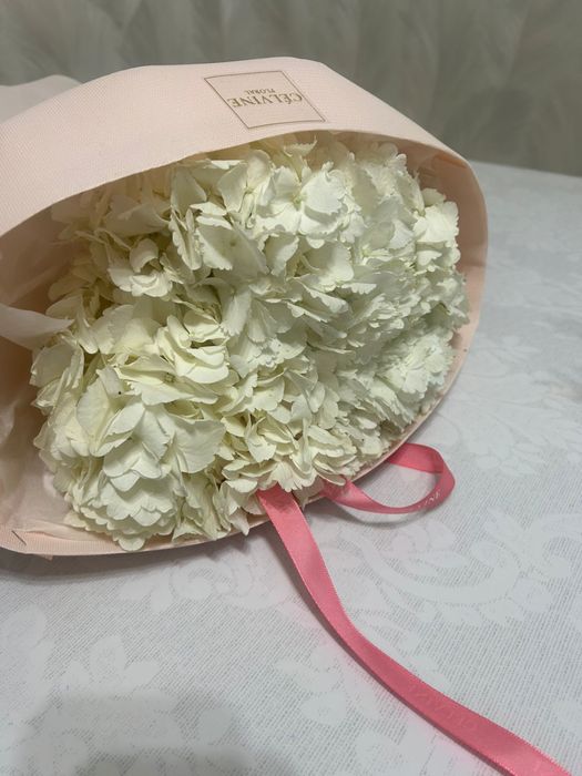 цветы в хорошем состоянии