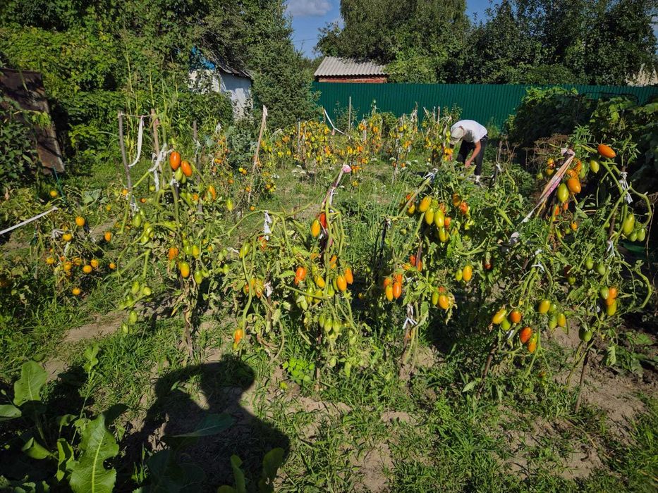 Продам Дачу с участком