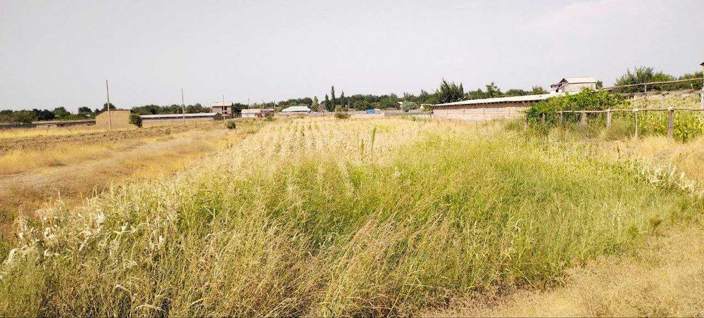 Земельный участок на фермерство.