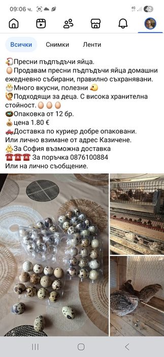 Яйца от пъдпъдъци 0,15 € за бр.