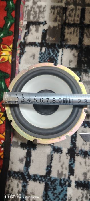 kalonka arginal bass