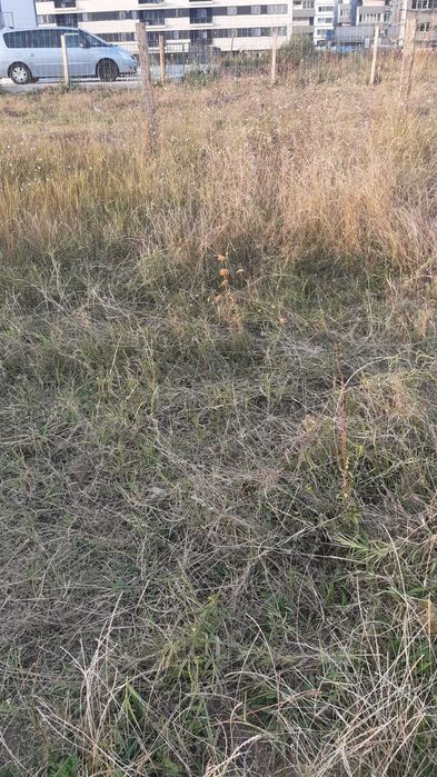 Vand urgent teren Postalionului