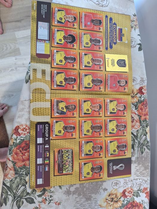 Album panini World cup Qatar