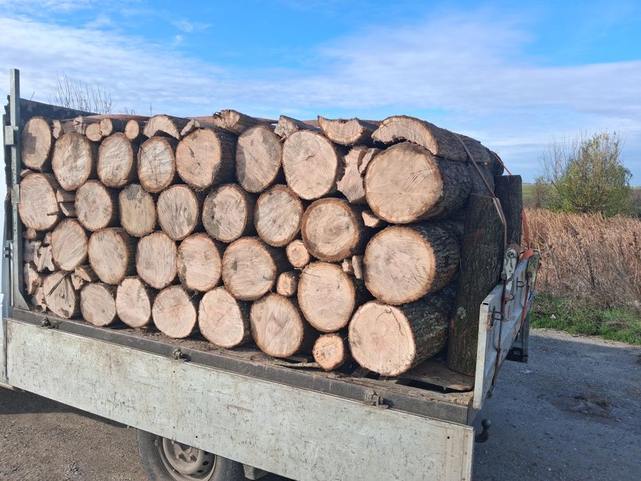 Vând lemne de stejar fag etc transport gratuit în județul Argeș  OLT