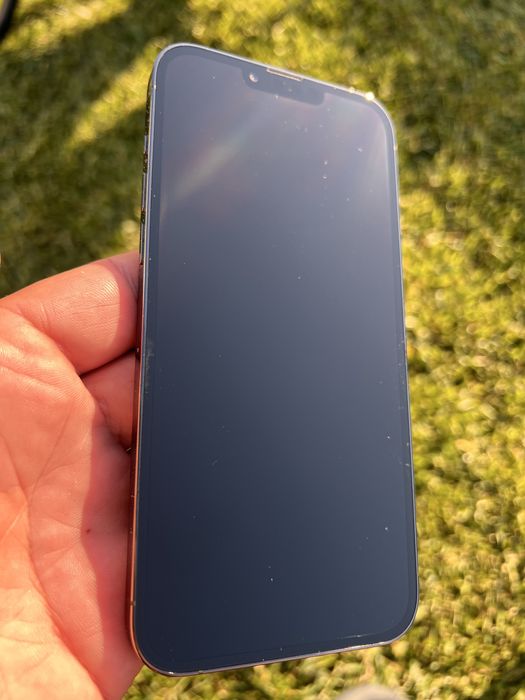 Display iPhone 13 Pro Max