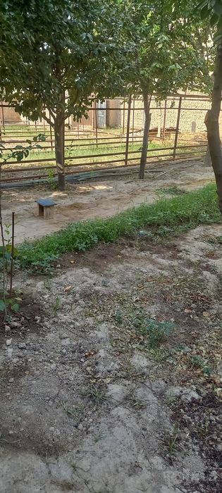 Yer sotiladi arzon narhlada 4 dan 2 bor