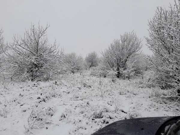 Дава се под наем Гараж / Паркомясто в Плевен, Индустриална зона - 1250 кв.м за 17850 € - Снимка #2