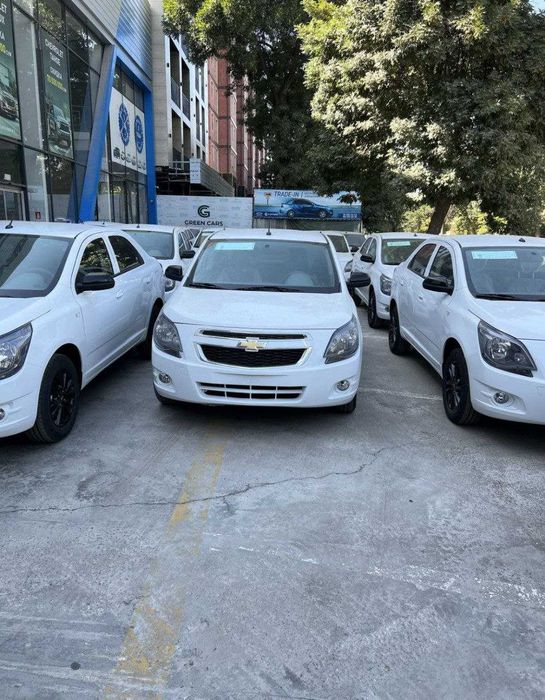 Cobalt midnight bo rassrochkaga