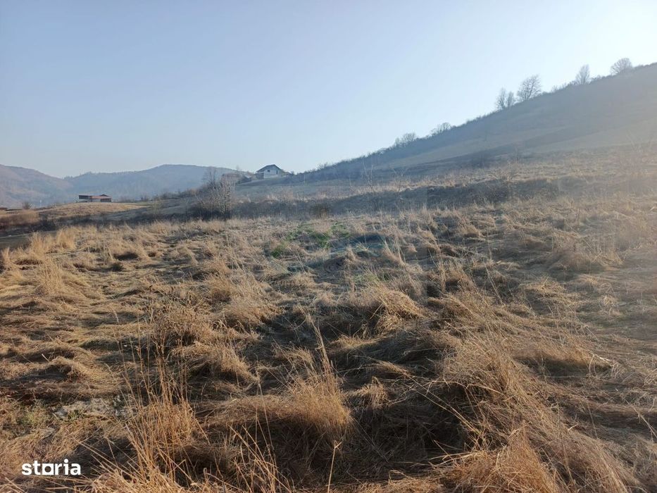 Teren extravilan 3000 mp de vânzare