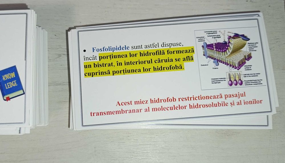 Set Flashcards Corint pe capitole