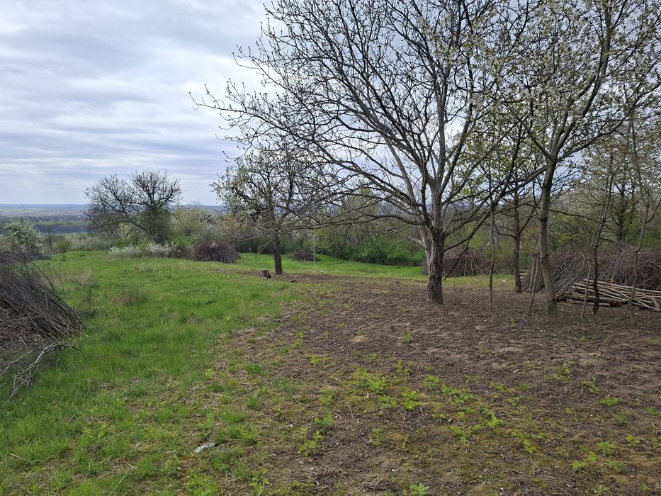 Teren intravilan - parcele 900 mp