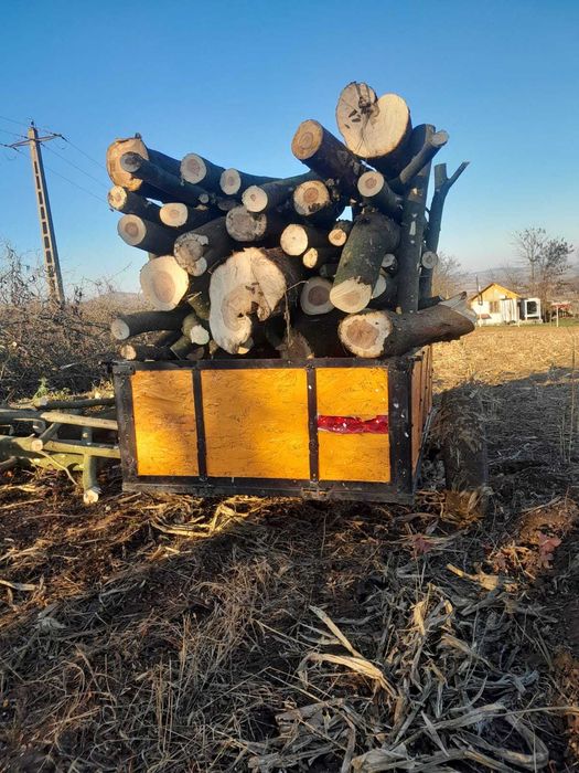 Mini tractor evotols 12 cp diesel 4x4