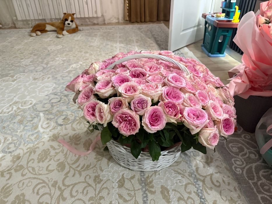 Цветы свежие роза