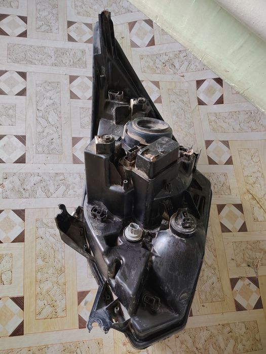 Koblt farasi sotiladi