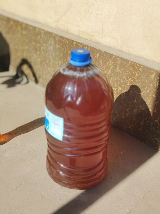 Asal tabiiy tog asali