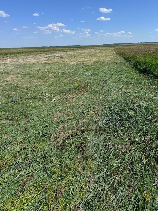 Продам ТОО( пашня, пастбища)