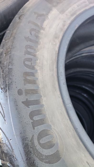 Шины континента ль лето