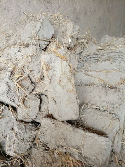 Лой гишт сотилади