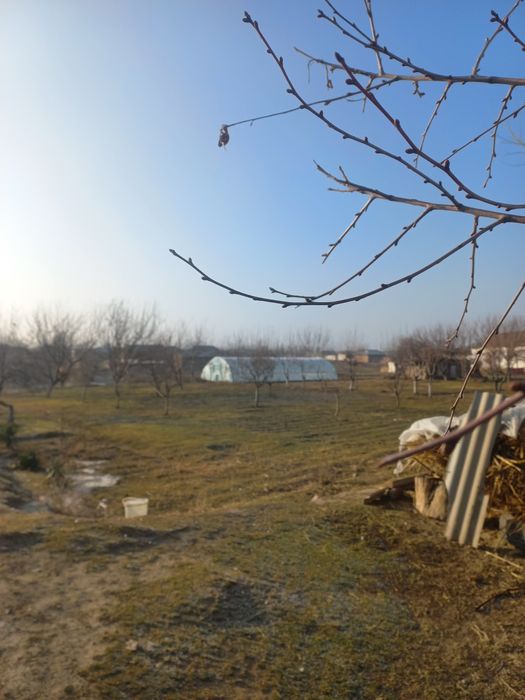 Тохиршайх МФЙ Тохиршайх