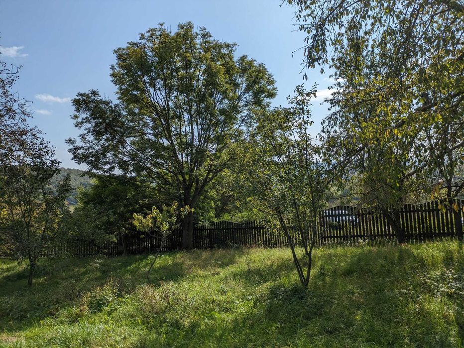 Proprietar - Vând casă cu 4873 m² teren intravilan