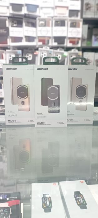 Power bank green lion