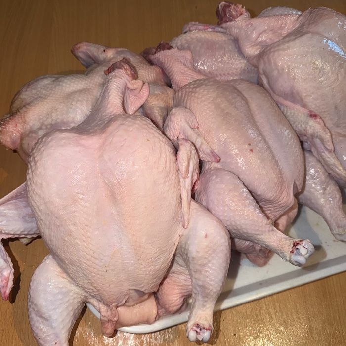 Продам домашнюю курицу
