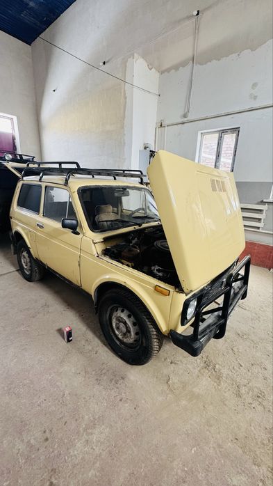 Niva Satiladi  1989-jil