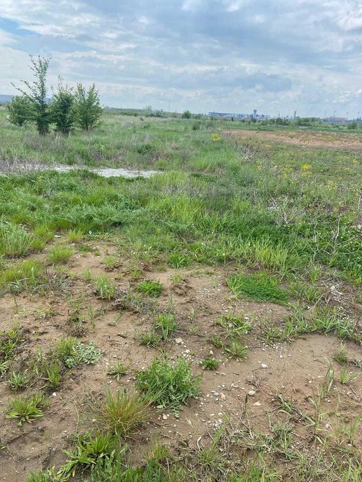 Teren intravilan 3087 MP , zona industriala - Ghercesti (in spatele aeroportului) - la Strada principala