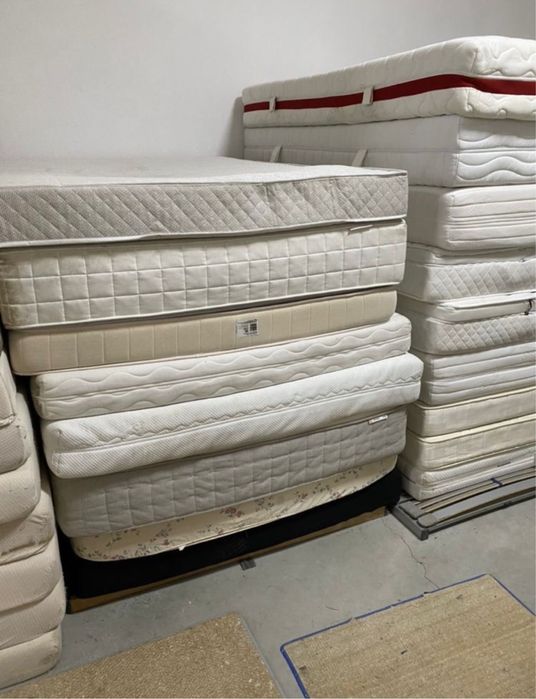 Saltele import Germania