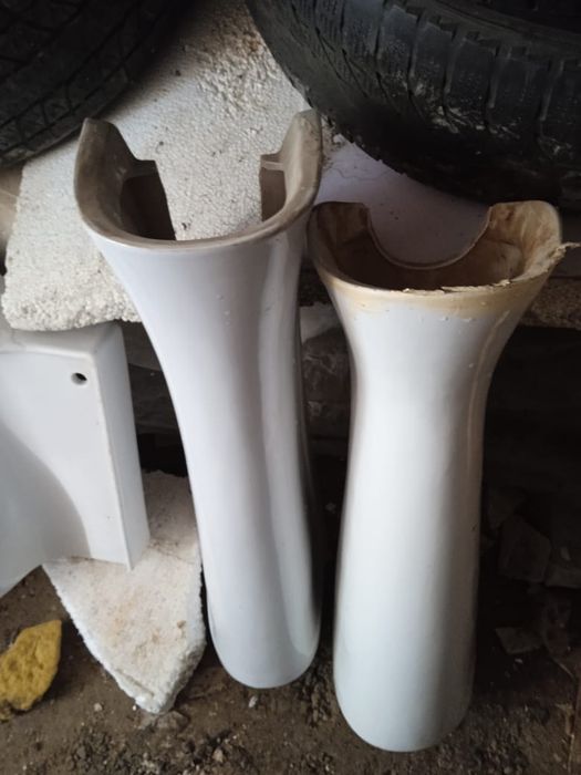 Раковины тюльпаны разные